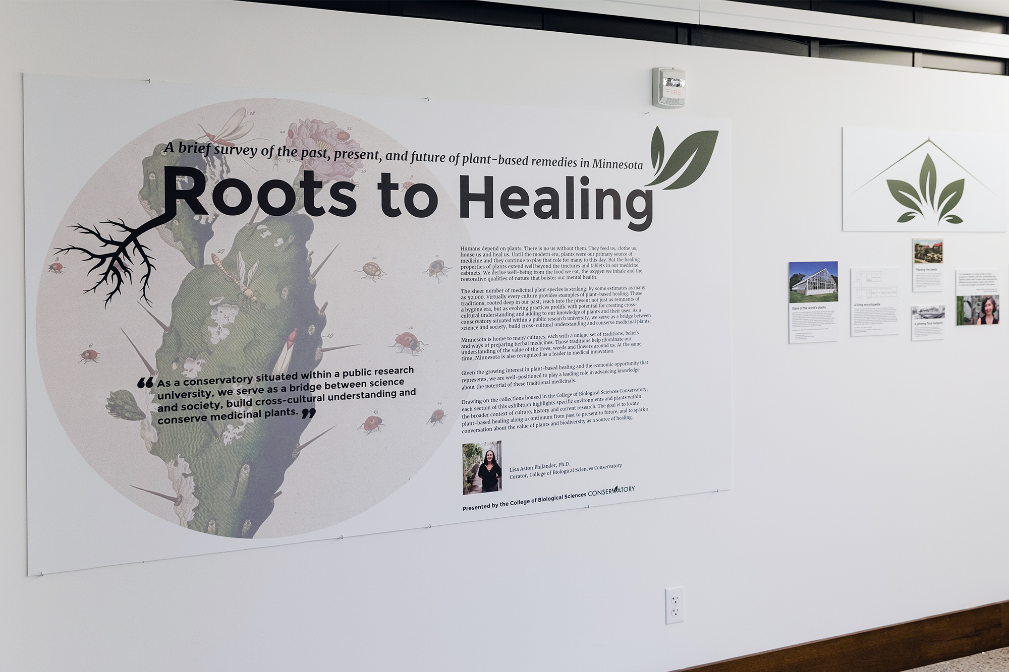 Roots-to-healing-9